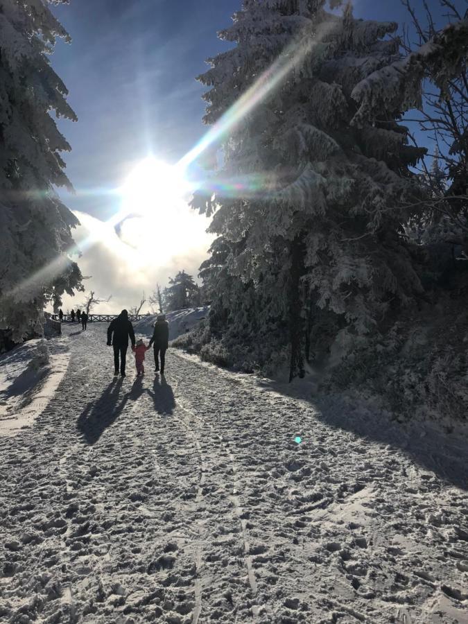 Dom Goscinny Finezja Świeradów-Zdrój Exteriör bild
